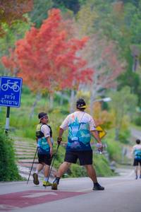 BIB: 
                            <button type="button" onclick="openModal(18890003)" class="btn btn-primary btn-sm float-right btn-popup" data-toggle="modal" data-target=".modal-high-quality">
                        <i class="fas fa-shopping-cart"></i> Add to Cart
                    </button>
                                            <button type="button" onclick="isThisMe(18890003, true)" class="btn btn-success btn-sm float-right btn-popup btn-isme hidden" data-toggle="tooltip" data-placement="bottom" title="นี่คือรูปของคุณใช่ไหม คลิกที่นี่เพื่อเอาเข้าอัลบั้ม">
                        <i class="fas fa-plus"></i> Add to album
                    </button>
                    <button type="button" onclick="isThisMe(18890003, false)" class="btn btn-warning btn-sm float-right btn-popup btn-isnotme hidden">
                        <i class="fas fa-ban"></i> Remove from album
                    </button>